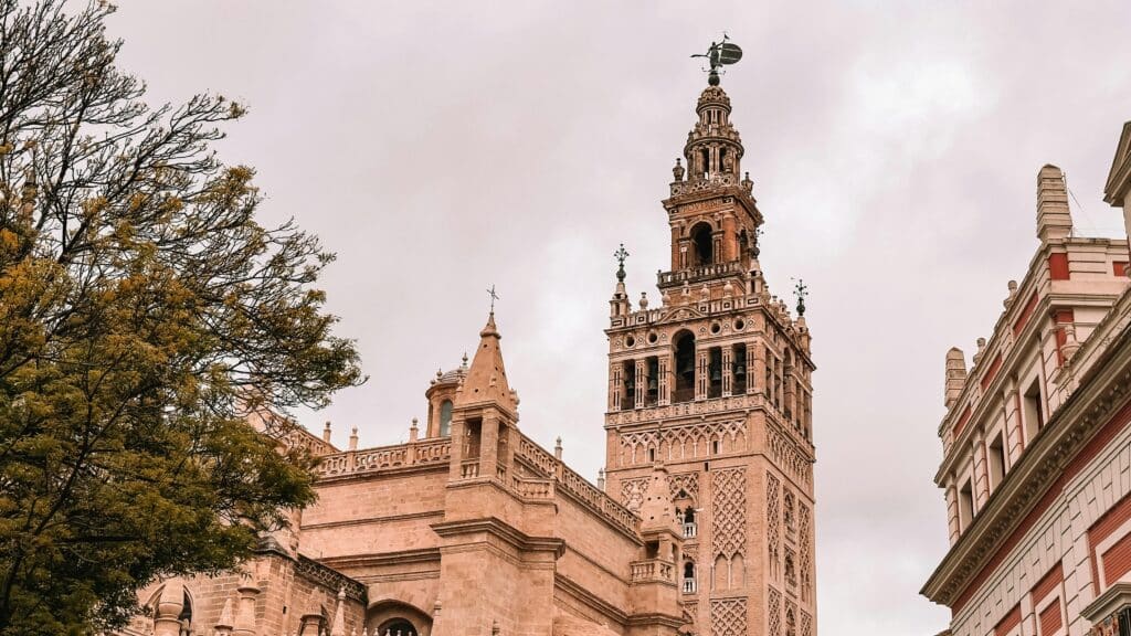 MSR Abogados en España